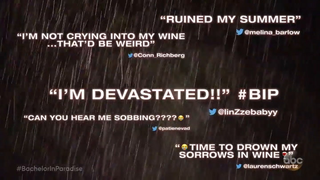 This Promo Is All You Need to Know About How <i>Bachelor in Paradise</i> Will Handle Misconduct Allegations